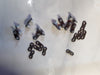 95VPX connecting links set of 10
