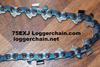 75EXJ062G, new# 75EXJ062, Oregon saw chain