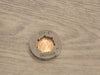 Oregon 11891 power mate replacement floating sprocket drive rim .325 pitch  8 T