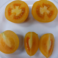 New Iowa Gold Hybrid Yellow Tomato cut